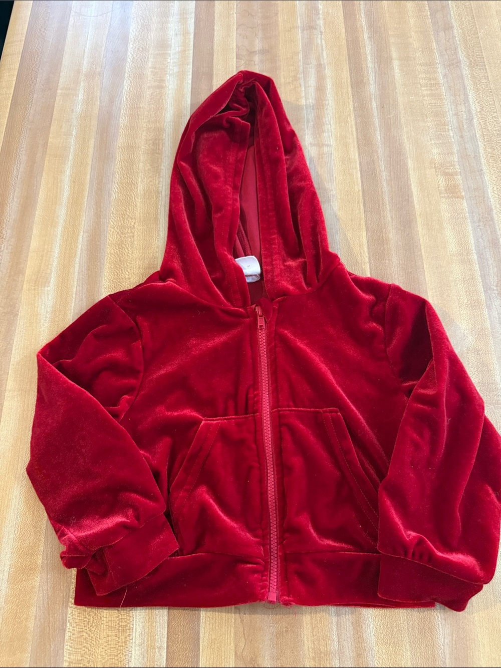 SHEIN Kids Red Velvet Hooded Zip-Up Sweatshirt